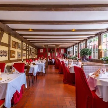 Thermen & Restaurant Bad Soden 3*