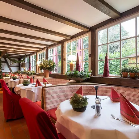 Hotel Thermen & Restaurant Bad Soden Bad Soden am Taunus