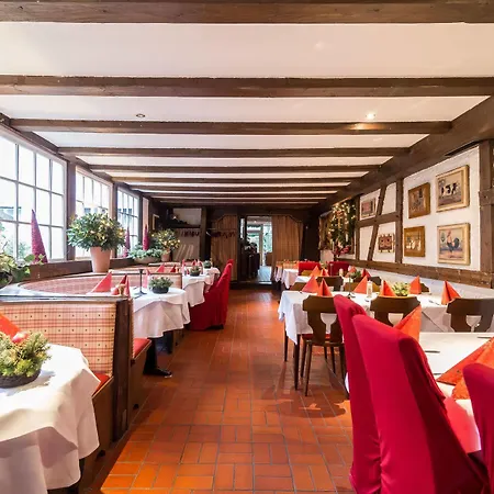 Thermen & Restaurant Bad Soden 3* Bad Soden am Taunus